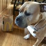 Profile picture of John Ofalltrades